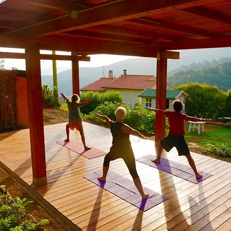 Shanti Yoga & Meditation *