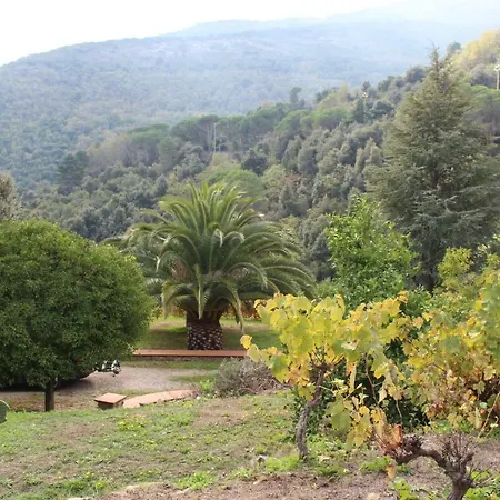 Shanti Yoga & Meditation *