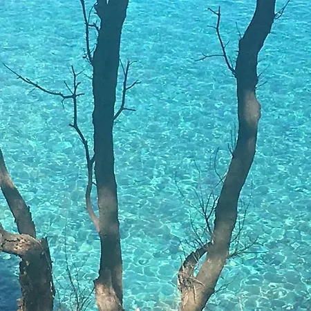 Apartmán Shanti Yoga & Meditation *