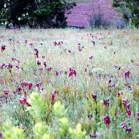 Shanti Yoga & Meditation *