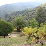 Shanti Yoga&meditation *