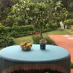 Shanti Yoga & Meditation * Marciana (Isola d'Elba)