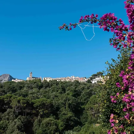 Shanti Yoga & Meditation Appartement Marciana (Isola d'Elba)