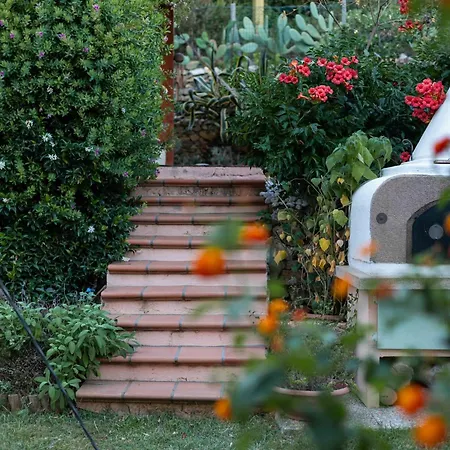Shanti Yoga & Meditation Appartement Marciana (Isola d'Elba)