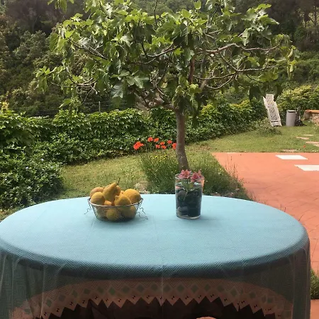 Shanti Yoga & Meditation * Marciana (Isola d'Elba)