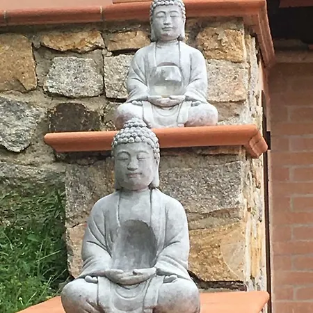 Shanti Yoga&meditation *