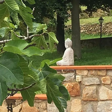 Shanti Yoga & Meditation Apartment