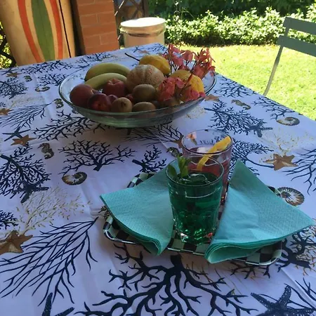 Shanti Yoga & Meditation